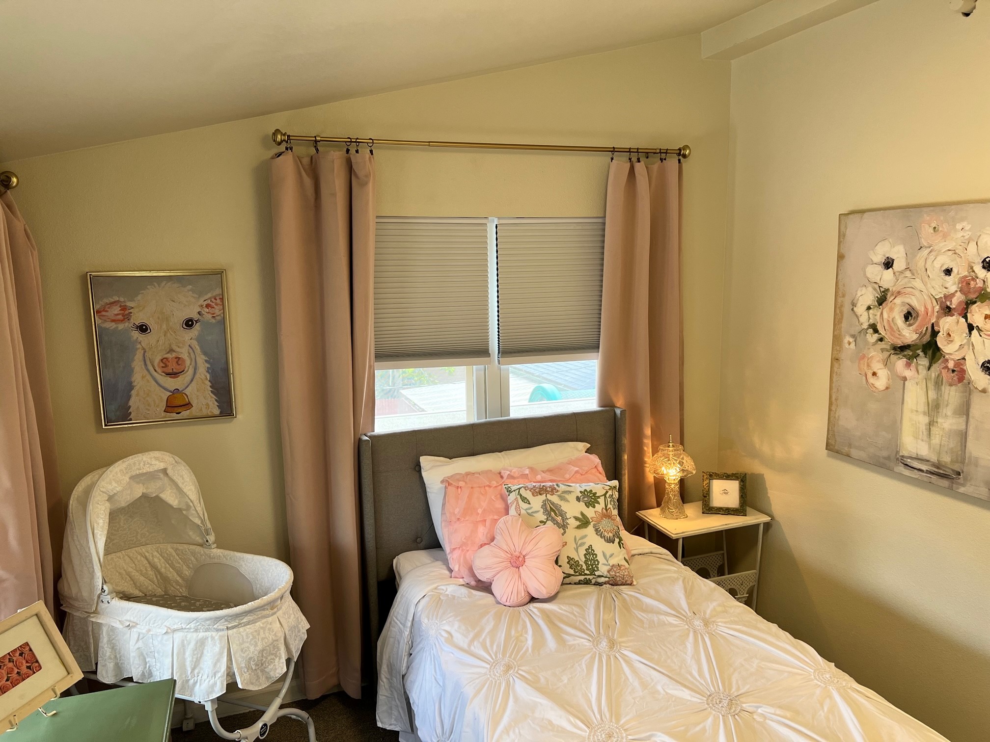 Bedroom with baby bassinet